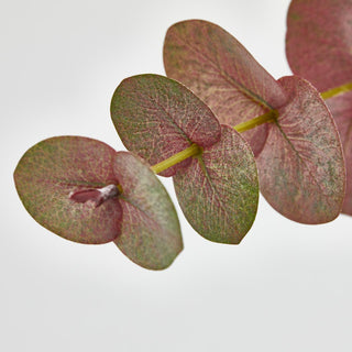 EDG Enzo De Gasperi Set 2 Rami di Eucalipto Olis H96 cm Sfumature di Rosa