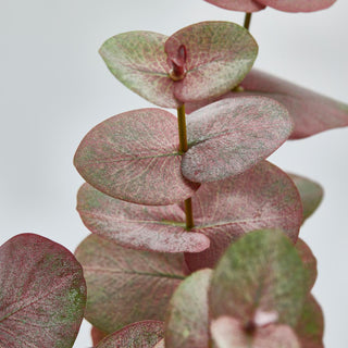 EDG Enzo De Gasperi Set 2 Rami di Eucalipto Olis H96 cm Sfumature di Rosa