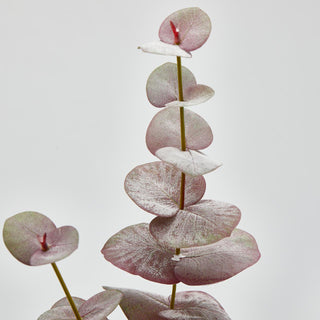 EDG Enzo De Gasperi Set 2 Rami di Eucalipto Olis H96 cm Sfumature di Rosa