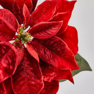 EDG Enzo De Gasperi Bell Christmas Star In Velvet H71 cm Red