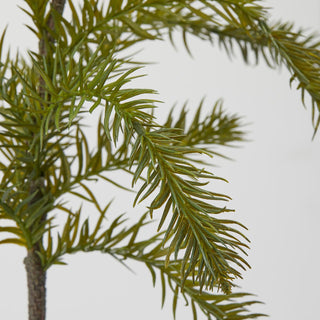 EDG Enzo De Gasperi Taxus Pine Branch H110 cm