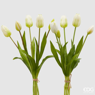 EDG Enzo de Gasperi Set 2 Bouquet di Tulipani Olis Sfumato Bianco