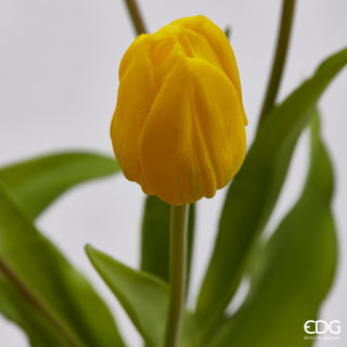 EDG Enzo de Gasperi Set 2 Bouquet di Tulipani Olis Sfumato Giallo e Arancio