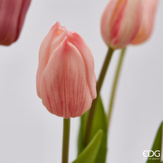 EDG Enzo de Gasperi Set 2 Bouquet di Tulipani Olis Sfumato Rosa