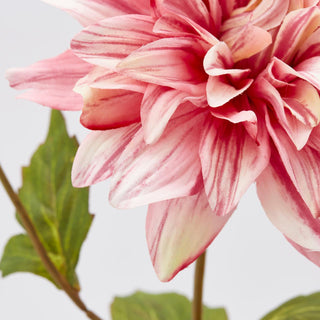 EDG Enzo De Gasperi Artificial Flower Dalia Rex H70 cm Pink