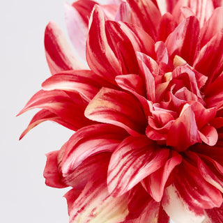 EDG Enzo De Gasperi Artificial Flower Dalia Rex H70 cm Pink Beauty