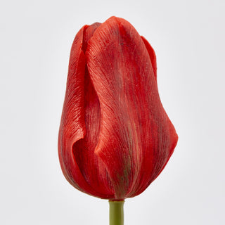 EDG Enzo De Gasperi Tulip Olis 3 Flores Al. 48 cm Rojo