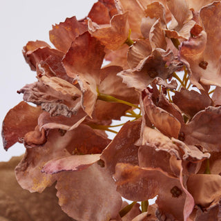 EDG Enzo De Gasperi Hydrangea Olis branch with leaves H50 cm Copper