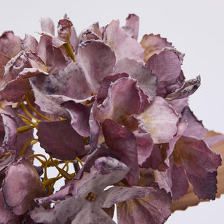 EDG Enzo De Gasperi Hydrangea Olis branch with leaves H50 cm Plum