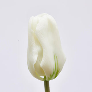 EDG Enzo De Gasperi Tulip Olis 3 Flowers H48 cm White