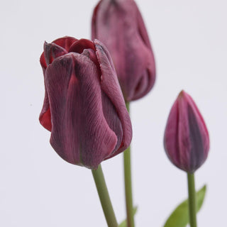 EDG Enzo De Gasperi Set 2 Olis Tulips 3 Flowers H48 cm Shades of Purple