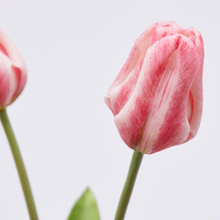 EDG Enzo De Gasperi Tulip Olis 3 Flowers H48 cm Shaded Pink