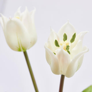 EDG Enzo De Gasperi Tulipán Olis Fiorito 3 Flores H48 cm Blanco