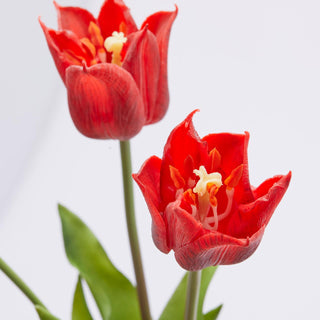 EDG Enzo De Gasperi Tulip Olis Fiorito 3 Flowers H48 cm Red