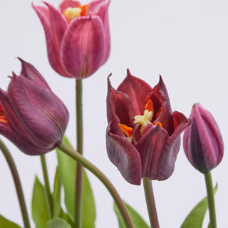 EDG Enzo De Gasperi - Juego de 2 tulipanes en flor Olis, 3 flores, altura 48 cm, tonos morados