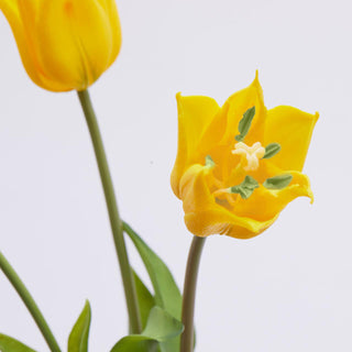 EDG Enzo De Gasperi Tulipán Olis Fiorito 3 Flores H48 cm Amarillo