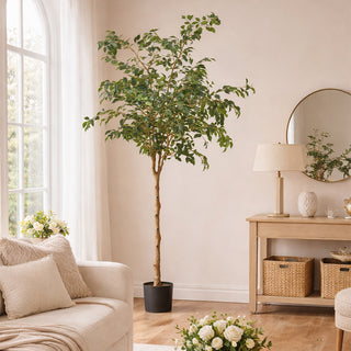 EDG Enzo De Gasperi Pianta Artificiale Ficus Beniamino H232 cm