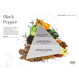 EDG Enzo De Gasperi Diffuser with Bamboo 120 ml Black Pepper