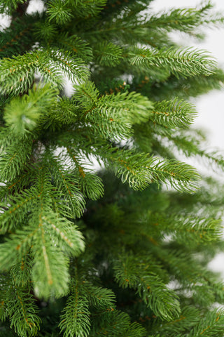 Bernard Weihnachtsbaum H180 D135 cm PE und PVC