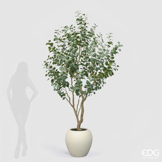 EDG Enzo De Gasperi Pianta Artificiale Eucalipto Vouge con Vaso H244 cm
