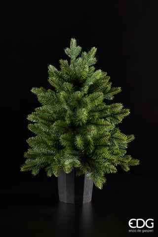 EDG Enzo De Gasperi Pino Argentato Verde H60 cm con Vaso