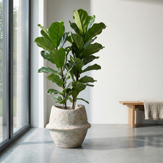 PTMD Collection Vaso Haania XXL in Cemento