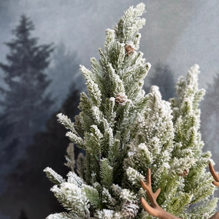 Die Joys-Bogenspitze aus rotem Samt, H130 m