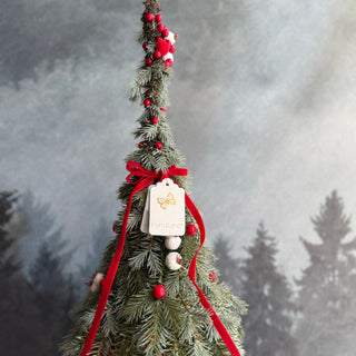 Die Joys-Bogenspitze aus rotem Samt, H130 m