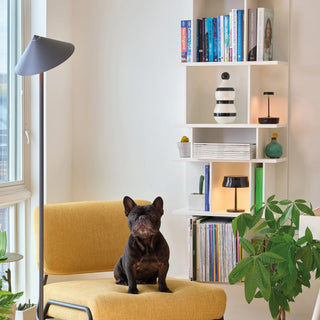 Zafferano Lampada Pina XXL H150 cm Titanio