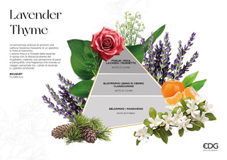 EDG Enzo De Gasperi Profumatore Luxury con Bastoncini 200 ml Lavanda e Timo