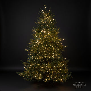 Le Gioie Pino McCallister Albero di Natale 210 cm Full PE con 4000 Rice Led