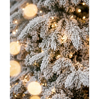 Fiori di Lena Albero di Natale Mont Blanc Innevato 210 cm con 2500 Mini Led