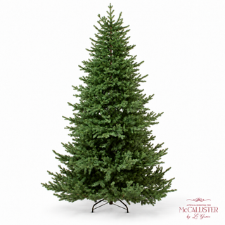 Le Gioie Pino McCallister Albero di Natale 240 cm Full PE con 5600 Rice Led