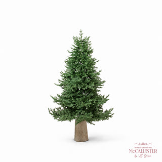Le Gioie Pino McCallister Albero di Natale 180 cm Full PE con 2500 Rice Led
