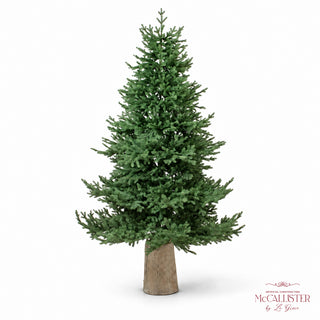 Le Gioie Pino McCallister Albero di Natale 240 cm Full PE con 5600 Rice Led