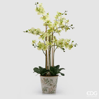 EDG Enzo De Gasperi Orchidea Phalaenopsis x8 con Bocciolo e Vaso H90 cm Verde