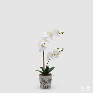 EDG Enzo De Gasperi Orchidea Phalaenopsis x2 con Bocciolo e Vaso H60 cm Bianca