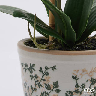 EDG Enzo De Gasperi Orchidea Phalaenopsis x2 con Bocciolo e Vaso H60 cm Bianca