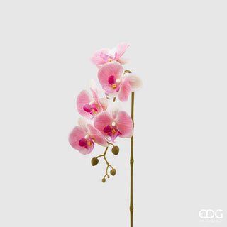 EDG Enzo De Gasperi Ramo Artificiale di Orchidea Phalaenopsis H76 cm Rosa