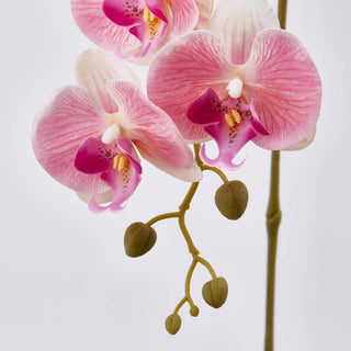 EDG Enzo De Gasperi Ramo Artificiale di Orchidea Phalaenopsis H76 cm Rosa