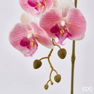 EDG Enzo De Gasperi Ramo Artificiale di Orchidea Phalaenopsis H76 cm Rosa