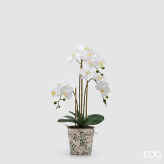EDG Enzo De Gasperi Orchidea Phalaenopsis x3 con Bocciolo e Vaso H65 cm Bianca