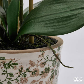 EDG Enzo De Gasperi Orchidea Phalaenopsis x3 con Bocciolo e Vaso H65 cm Bianca