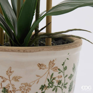 EDG Enzo De Gasperi Orchidea Phalaenopsis x3 con Bocciolo e Vaso H65 cm Verde