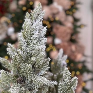 Fiori Di Lena Centrotavola con Stelle di Natale e 3 Alberi