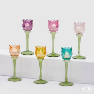 EDG Enzo De Gasperi Portacandela Tulipano H22 cm Rosa Giallo