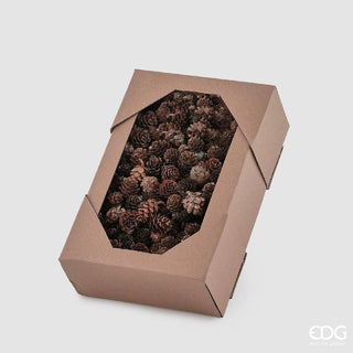 EDG Enzo De Gasperi Pigna Pino Mugo 600 gr