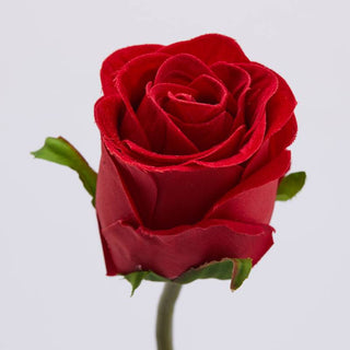 EDG Enzo De Gasperi Ramo Artificiale di Rosa Velvet con Foglie H60 cm