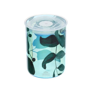 Hervit Contenitore Botanic in Vetro H12,5 cm Verde