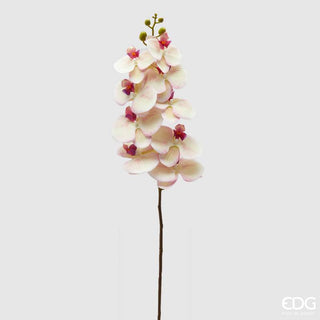 EDG Enzo De Gasperi Ramo di Orchidea Phalaenopsis H94 cm